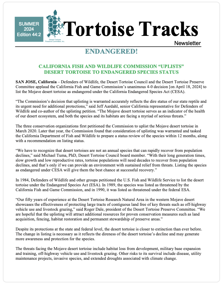 summer 2024 newsletter cover